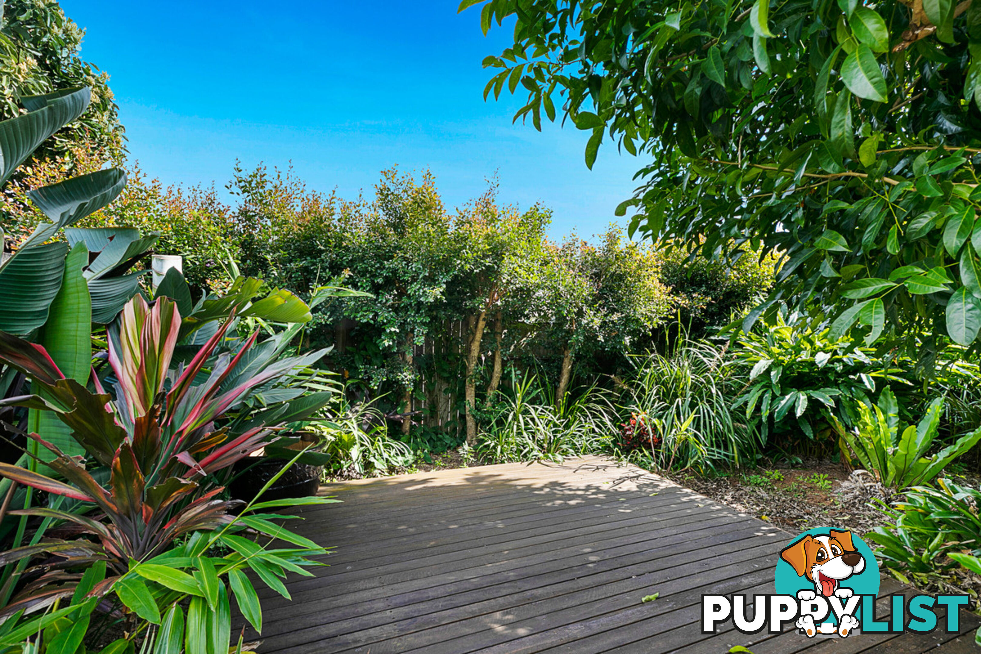 6 Langdon Street CLEVELAND QLD 4163