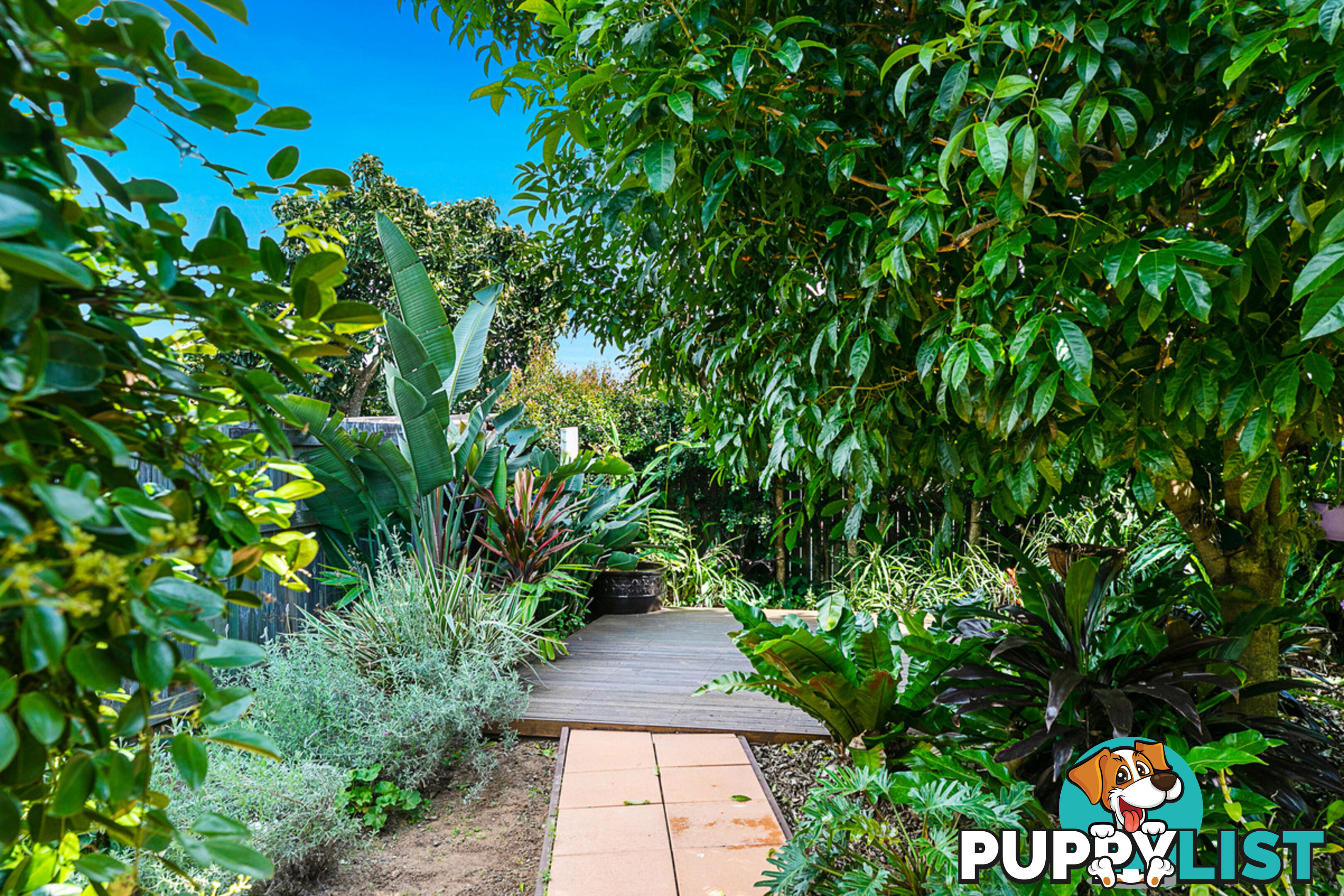 6 Langdon Street CLEVELAND QLD 4163