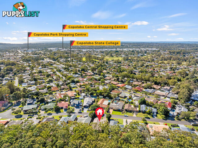 29 Chatsworth Circuit CAPALABA QLD 4157