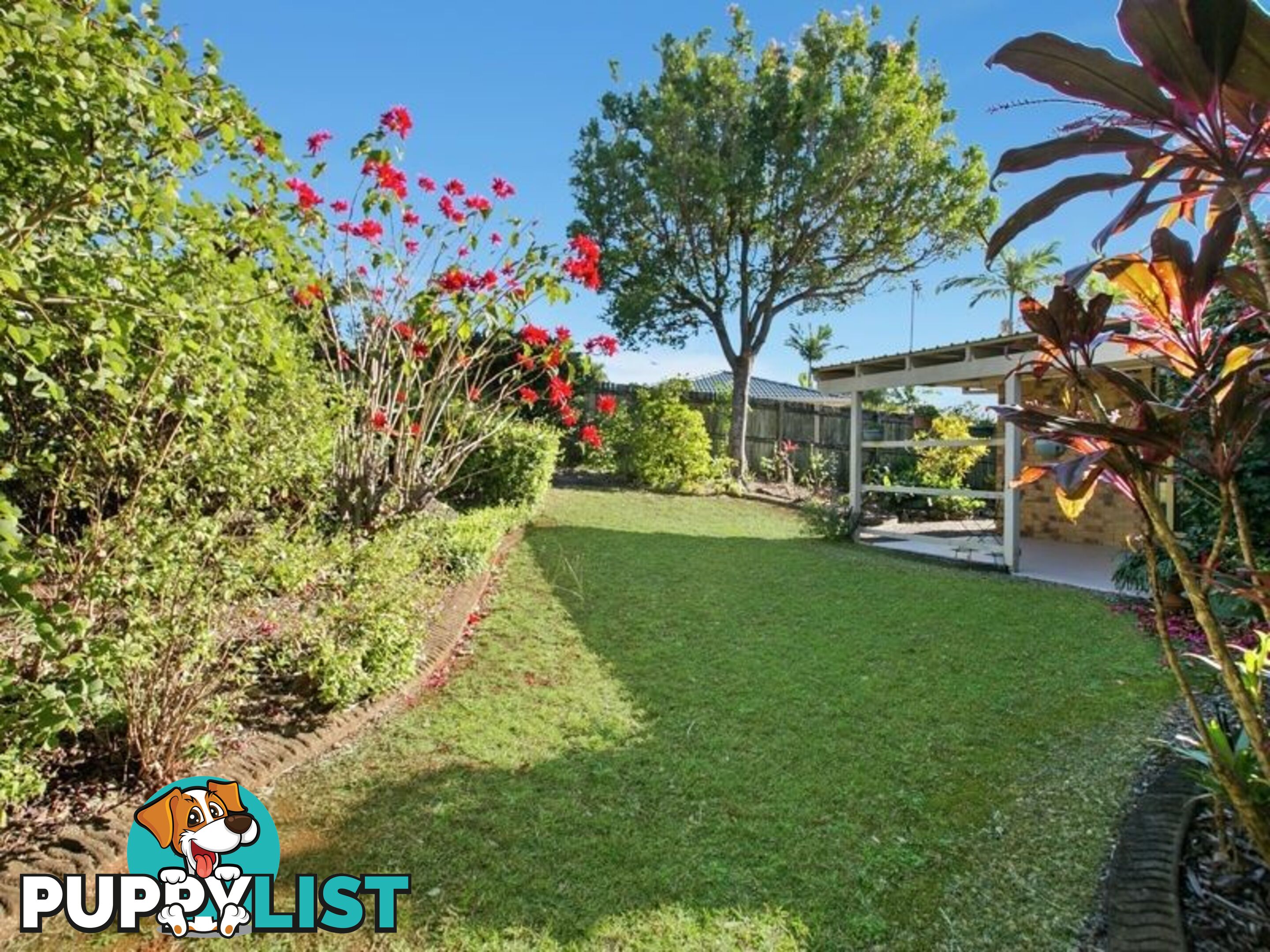 39 Spurs Drive WELLINGTON POINT QLD 4160