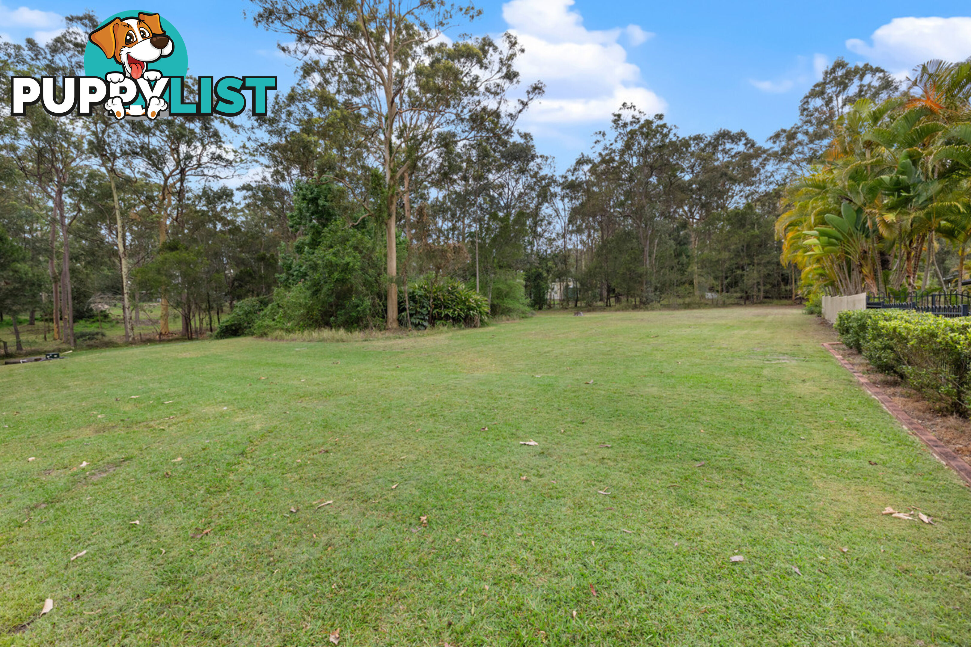 29 Peach Tree Close ALEXANDRA HILLS QLD 4161