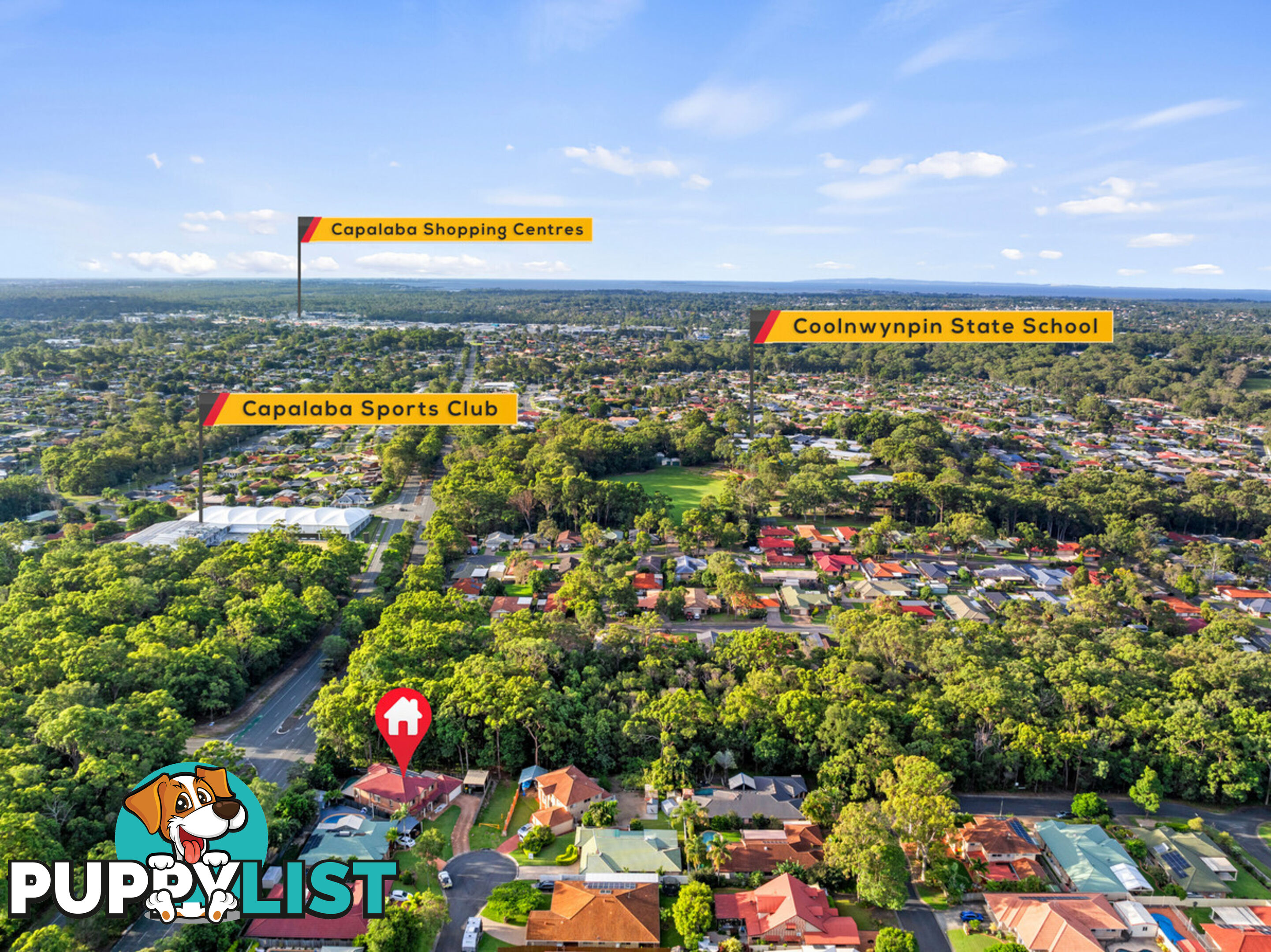 16 Platypus Court CAPALABA QLD 4157