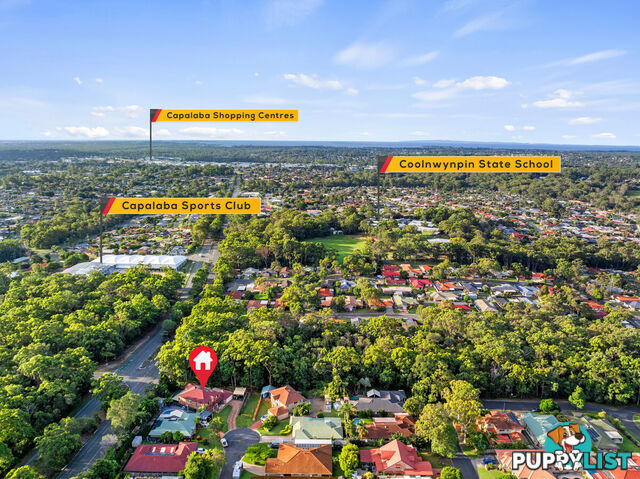 16 Platypus Court CAPALABA QLD 4157