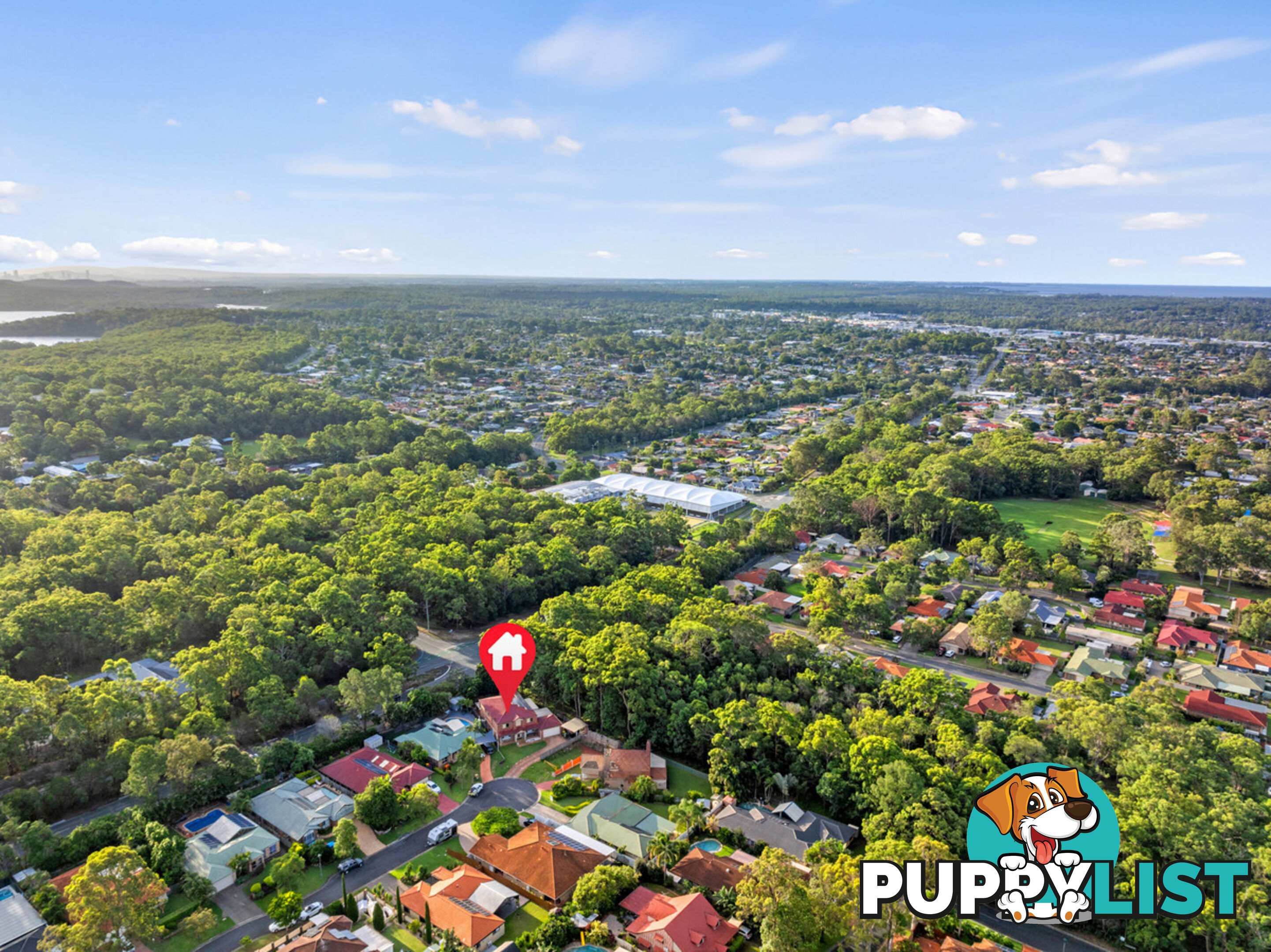 16 Platypus Court CAPALABA QLD 4157