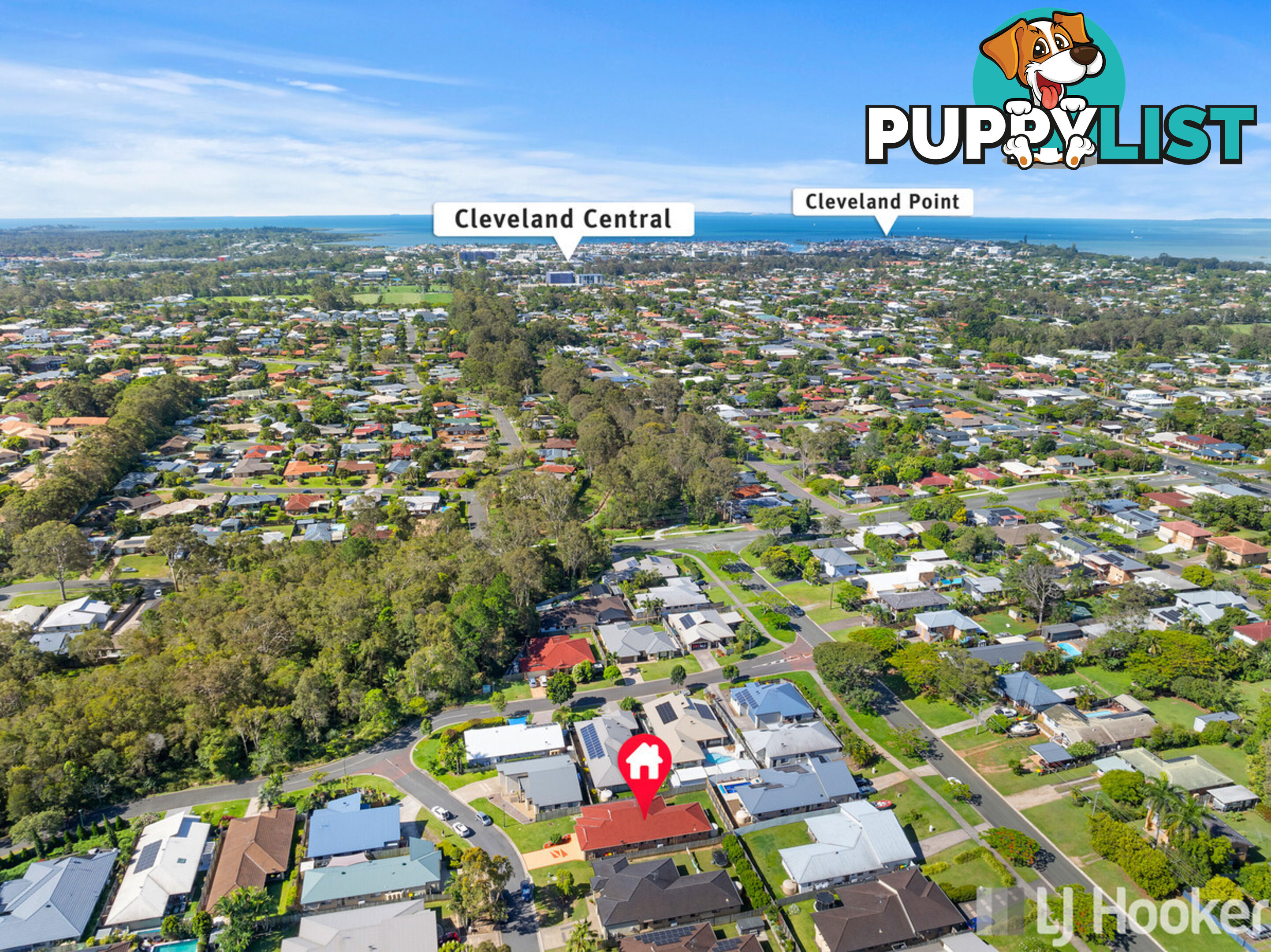 4 Shearwater Street CLEVELAND QLD 4163