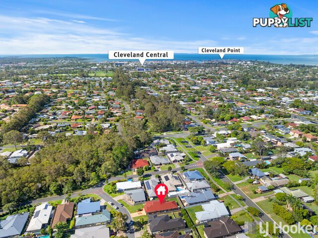 4 Shearwater Street CLEVELAND QLD 4163