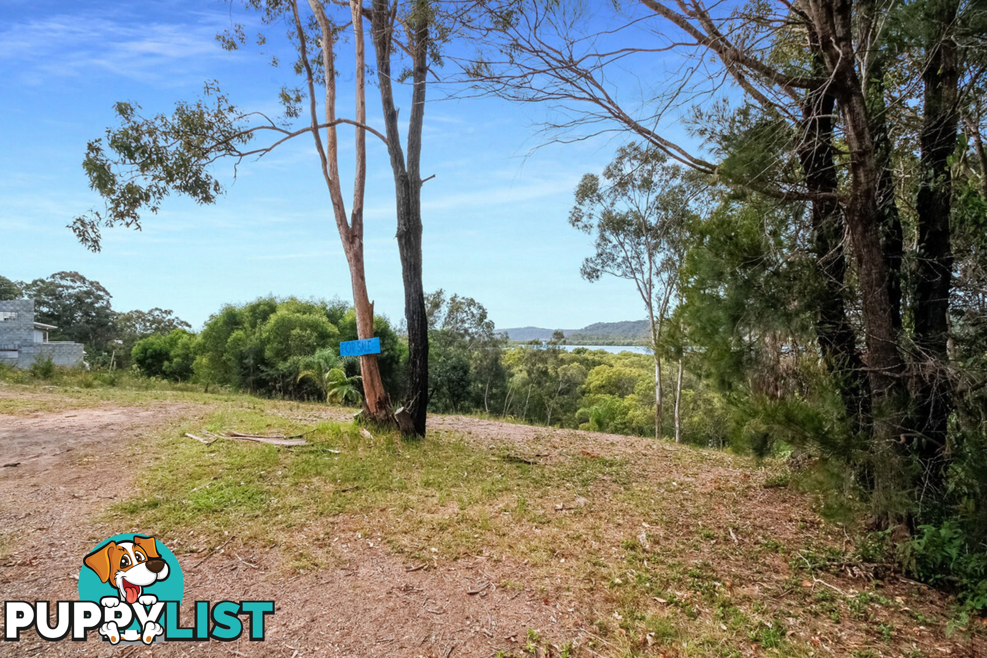 37 Aquamarine Avenue RUSSELL ISLAND QLD 4184