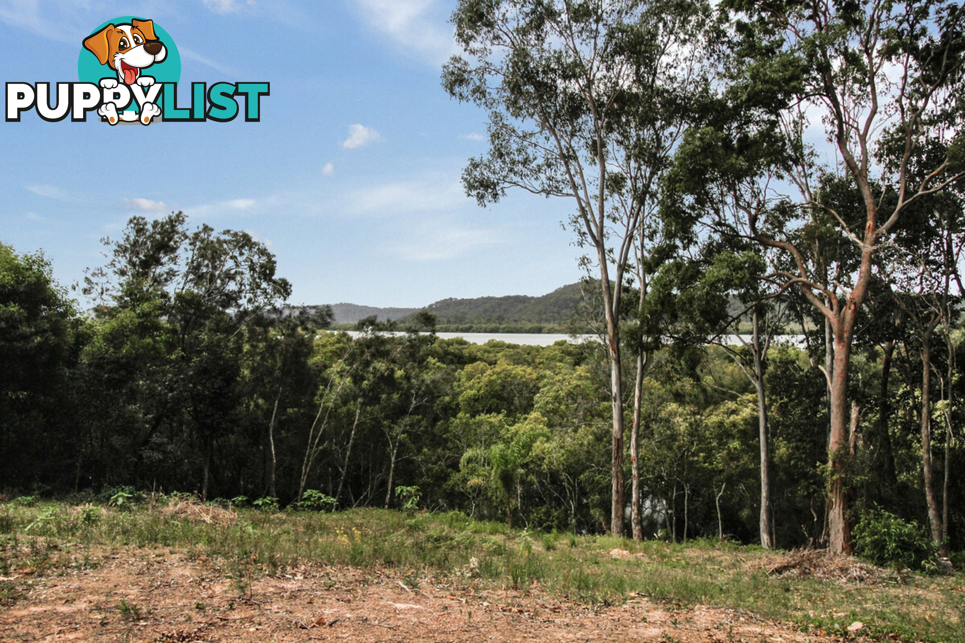 37 Aquamarine Avenue RUSSELL ISLAND QLD 4184