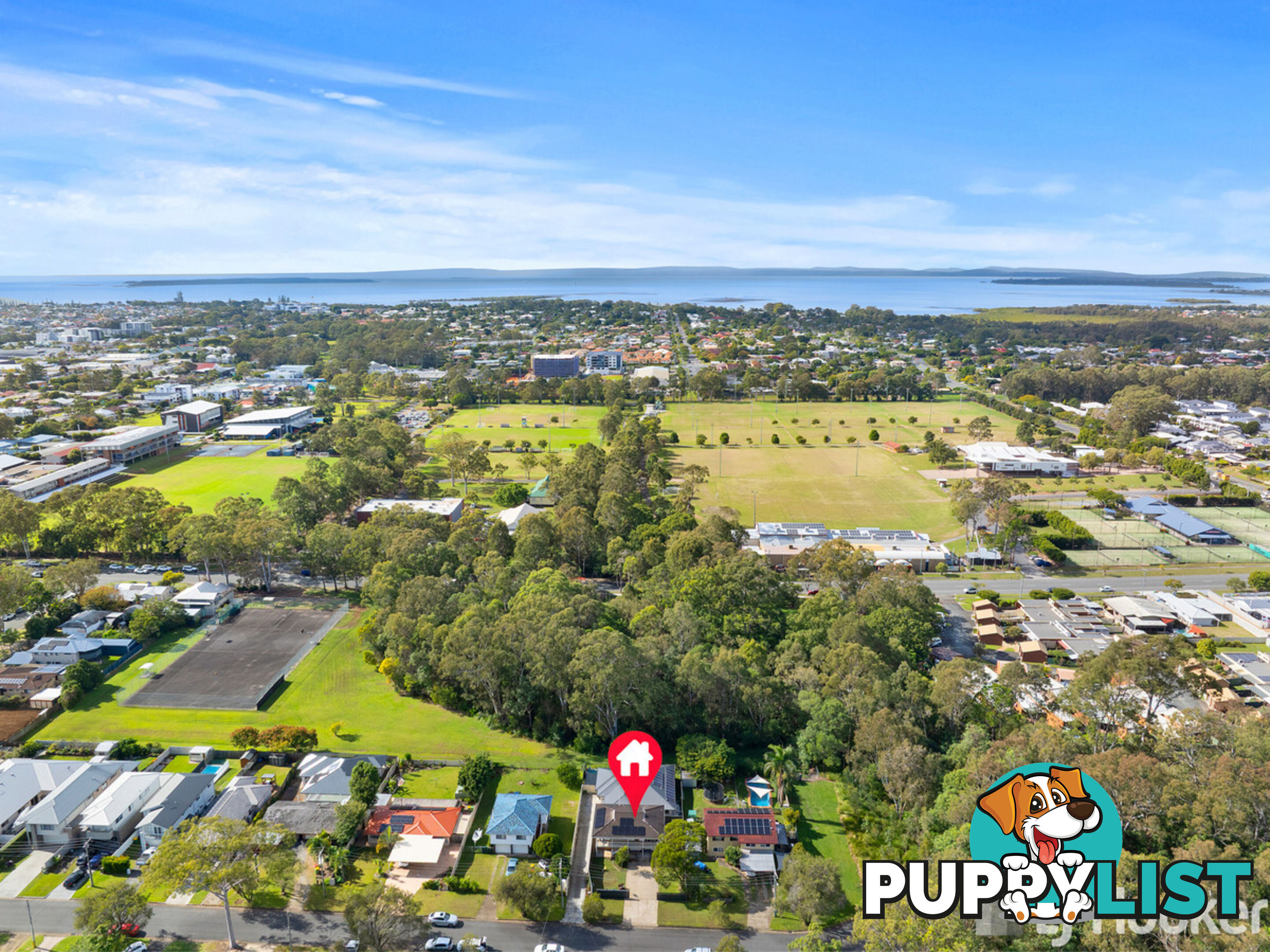 16 Carinya Street CLEVELAND QLD 4163
