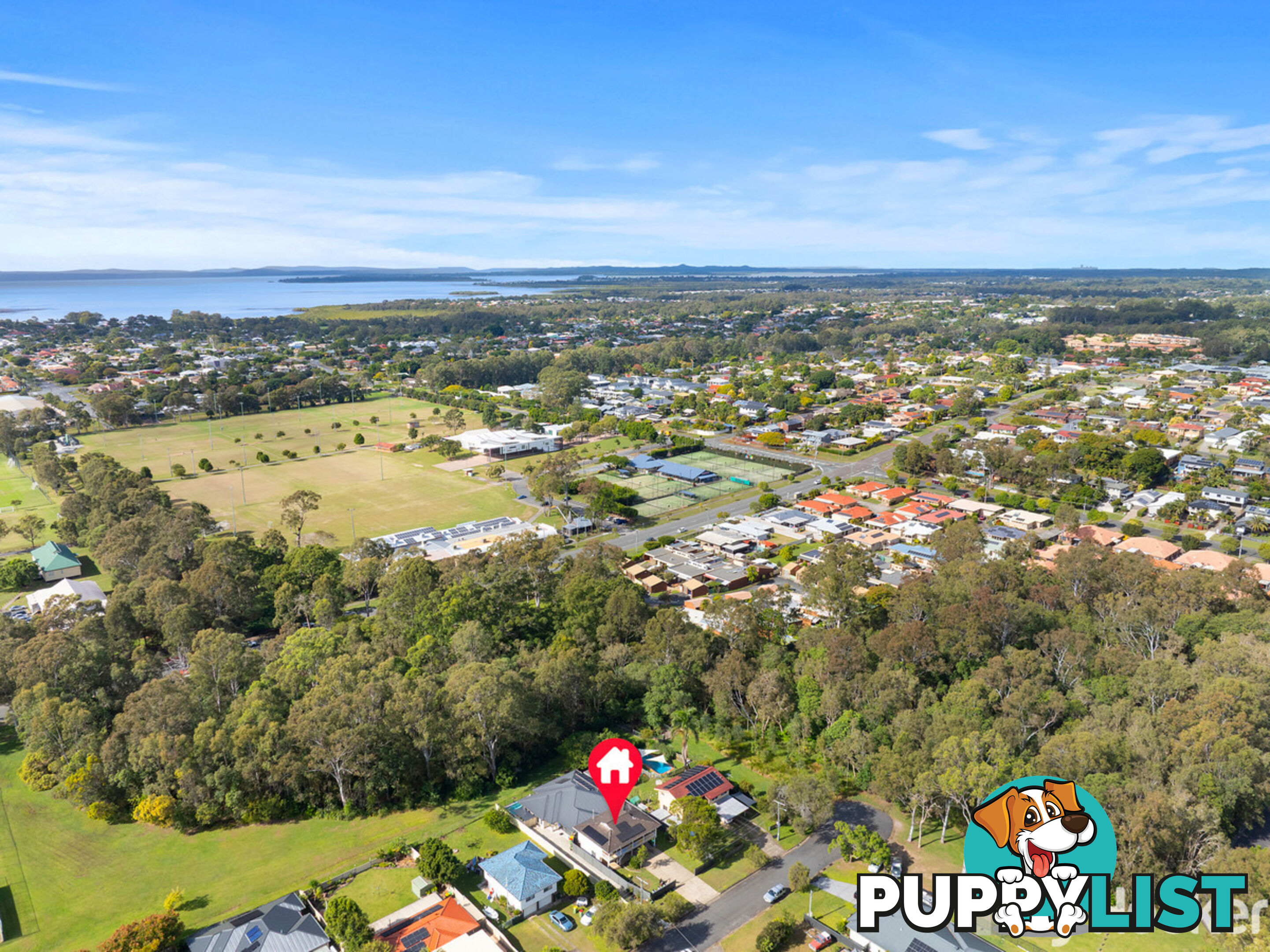 16 Carinya Street CLEVELAND QLD 4163