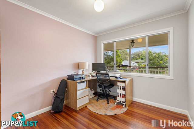16 Carinya Street CLEVELAND QLD 4163
