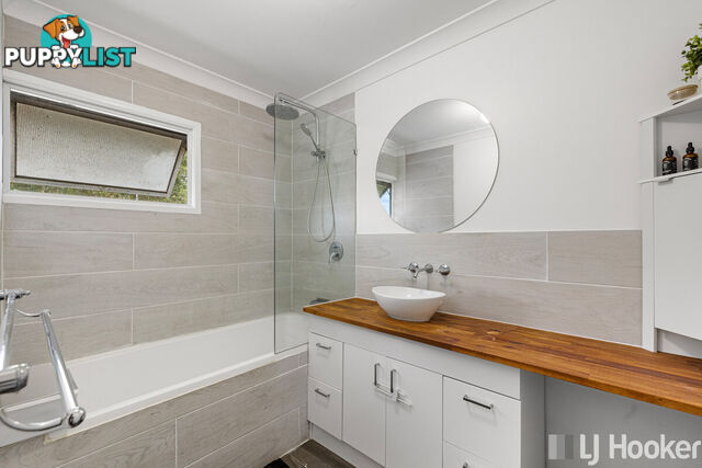 16 Carinya Street CLEVELAND QLD 4163