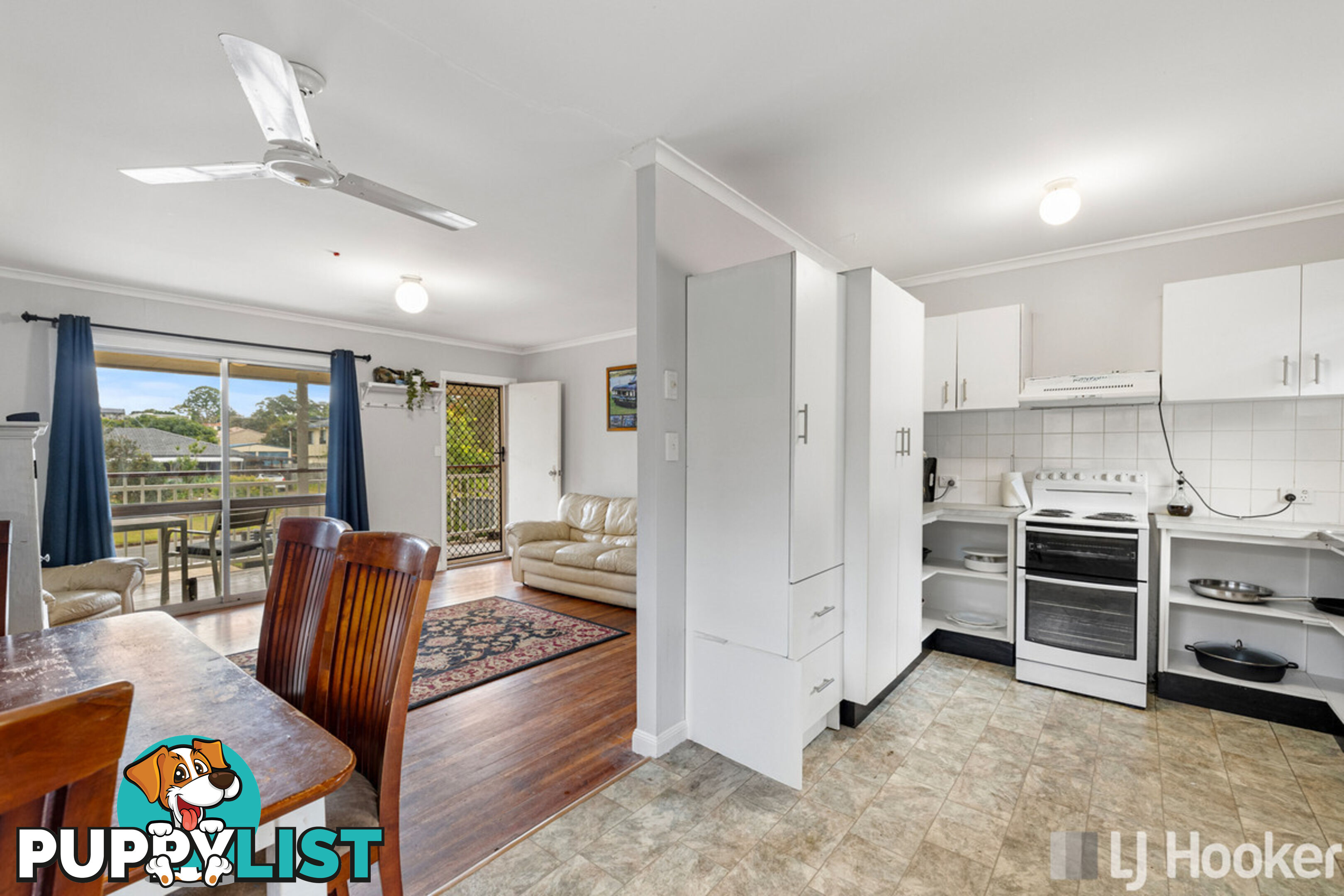 16 Carinya Street CLEVELAND QLD 4163