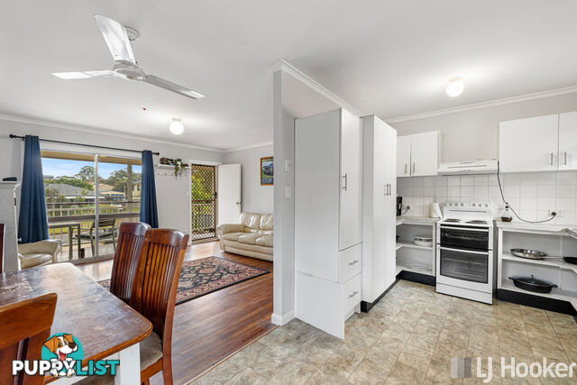 16 Carinya Street CLEVELAND QLD 4163