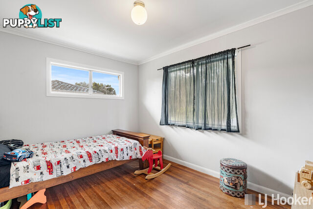 16 Carinya Street CLEVELAND QLD 4163