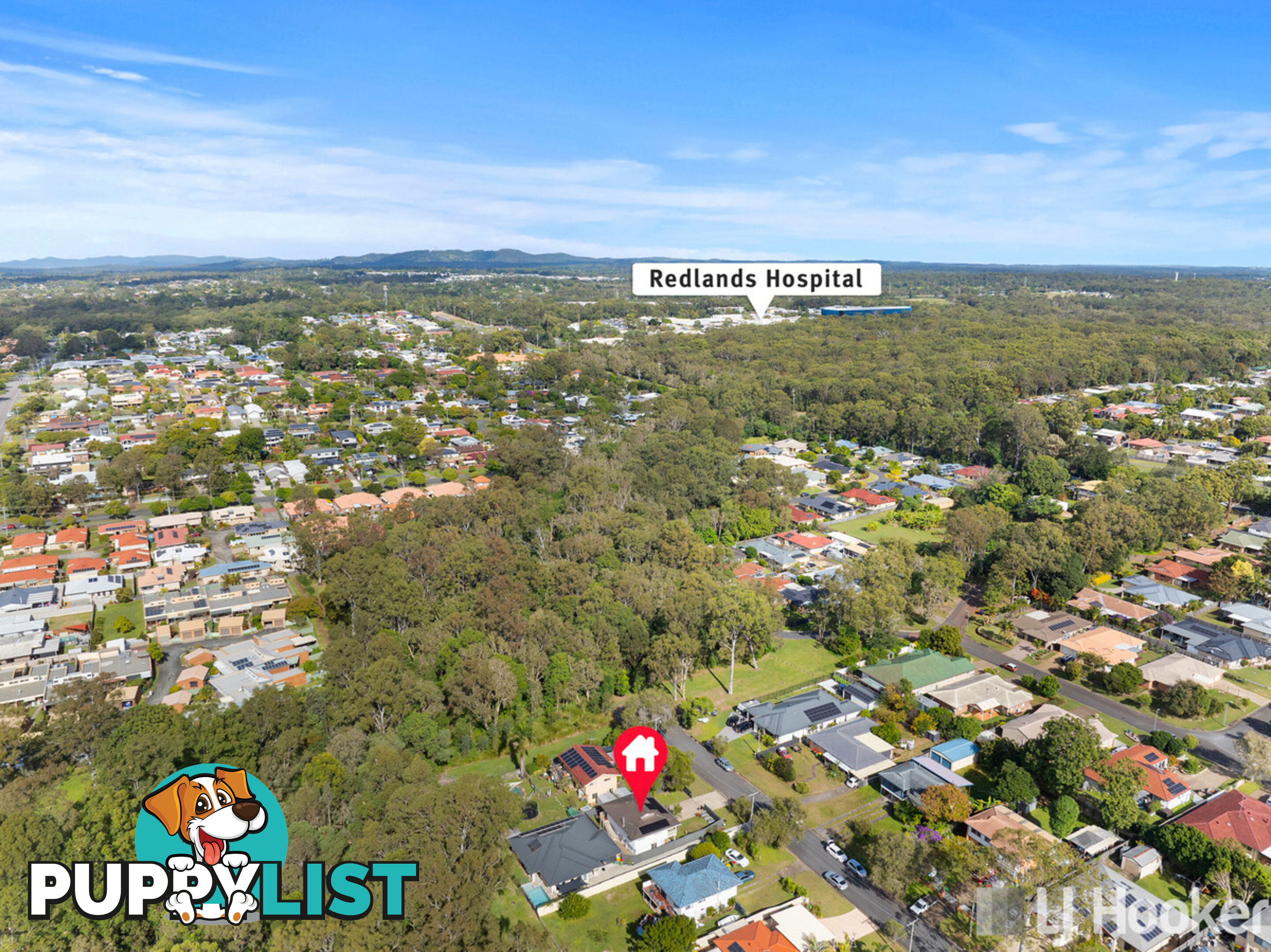 16 Carinya Street CLEVELAND QLD 4163
