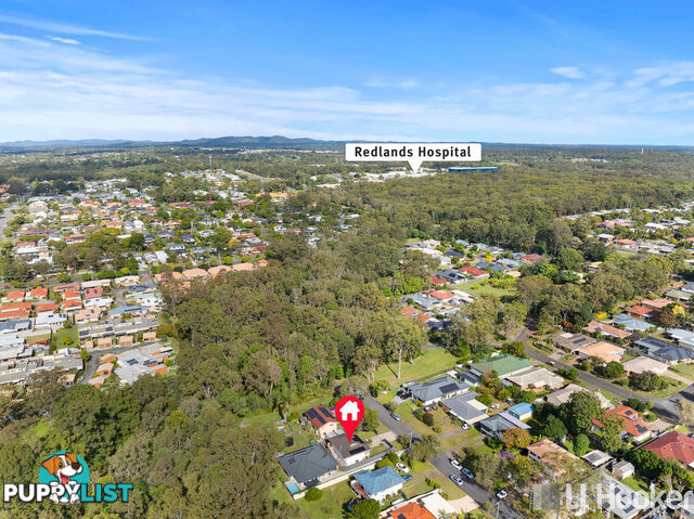 16 Carinya Street CLEVELAND QLD 4163