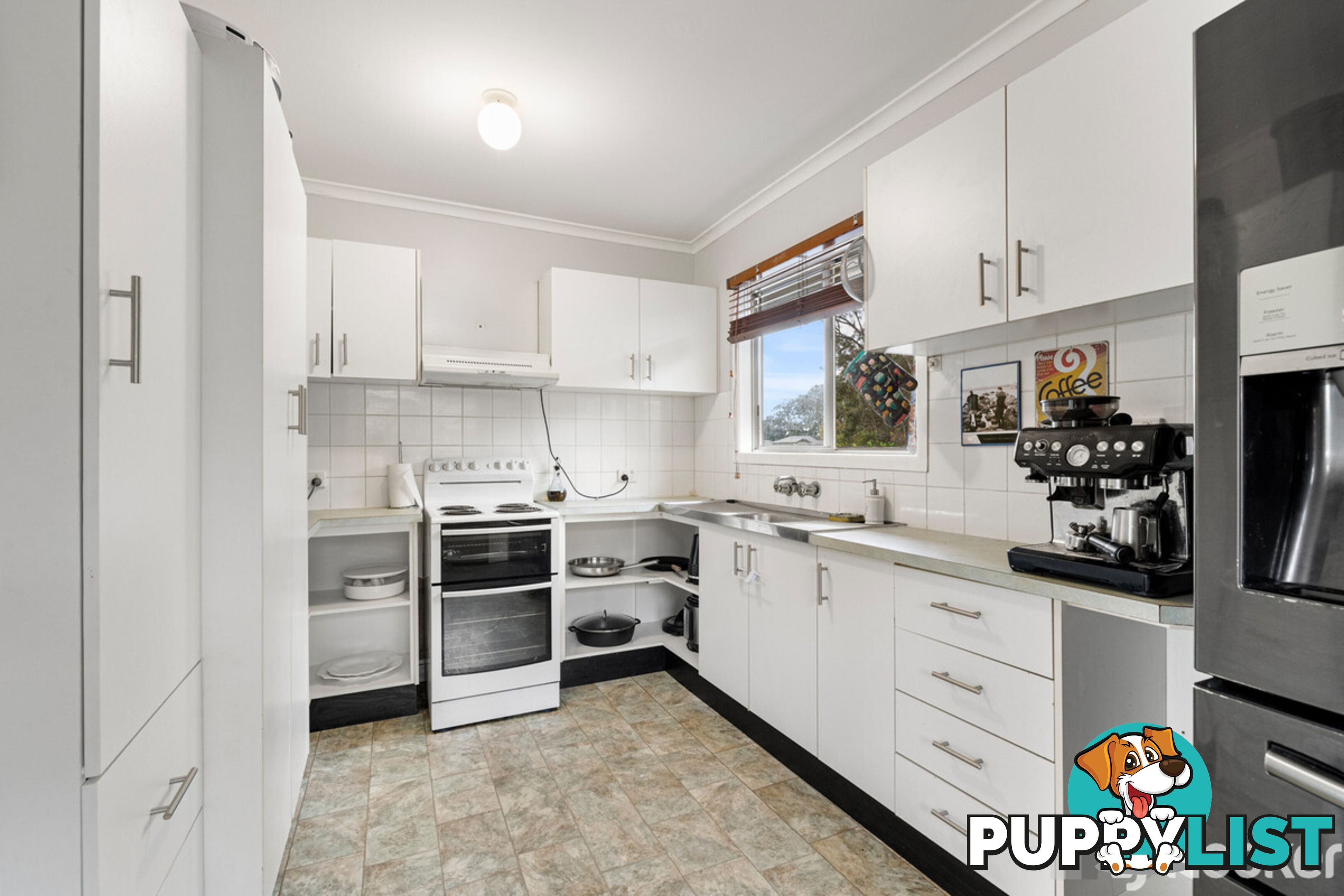 16 Carinya Street CLEVELAND QLD 4163
