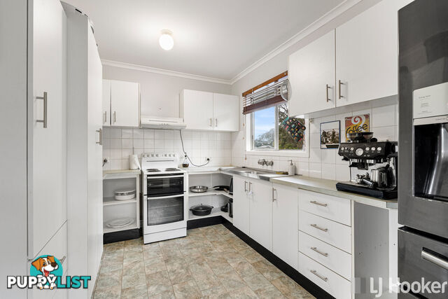 16 Carinya Street CLEVELAND QLD 4163
