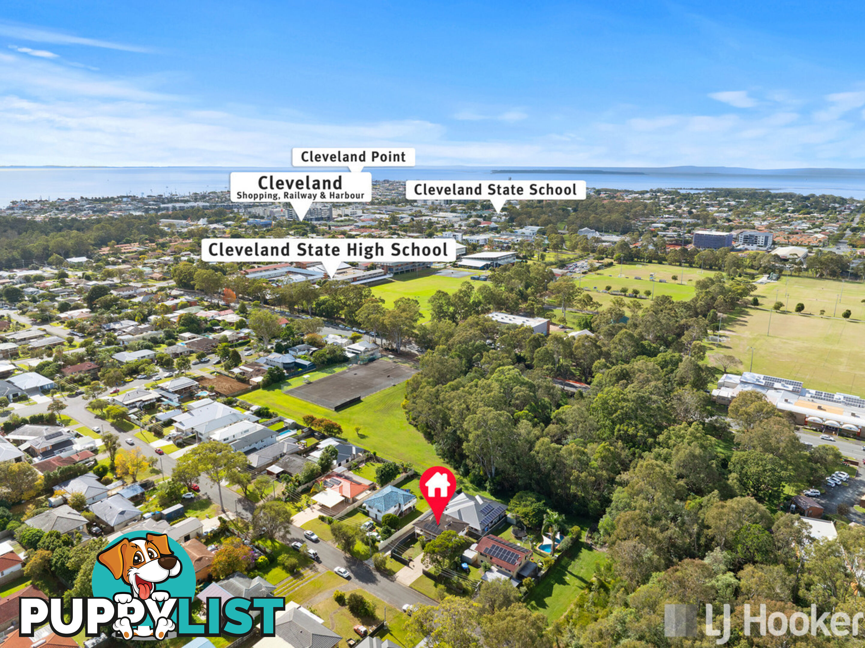 16 Carinya Street CLEVELAND QLD 4163