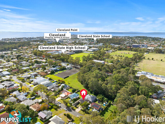 16 Carinya Street CLEVELAND QLD 4163