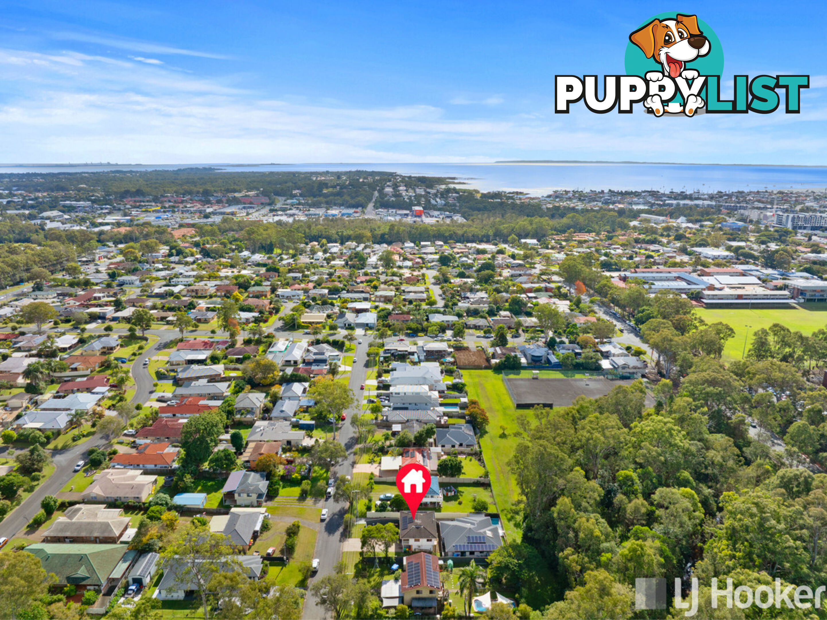 16 Carinya Street CLEVELAND QLD 4163