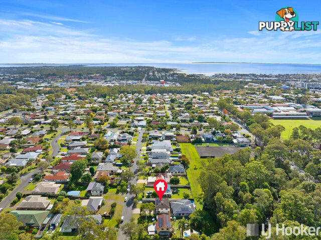 16 Carinya Street CLEVELAND QLD 4163