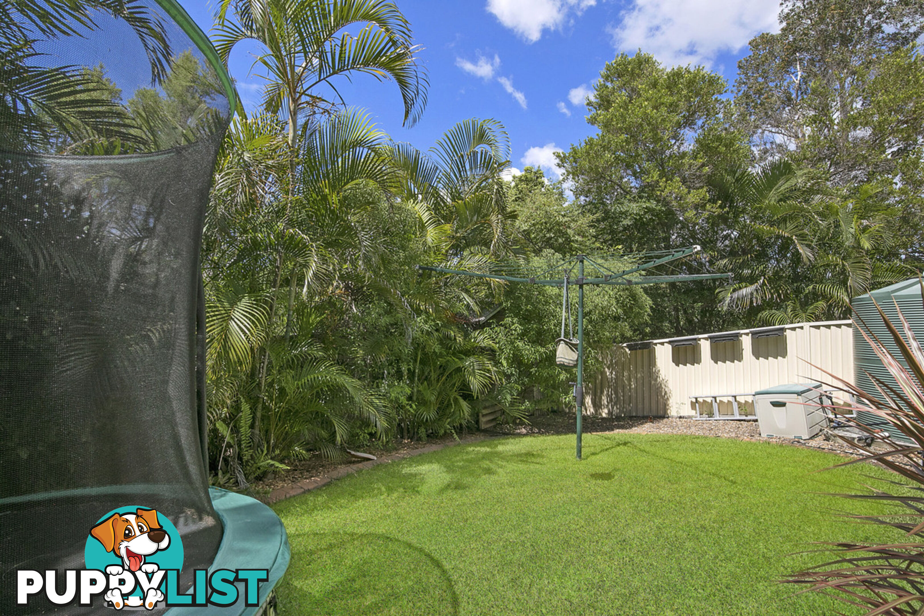 37 Buenavista Avenue THORNLANDS QLD 4164