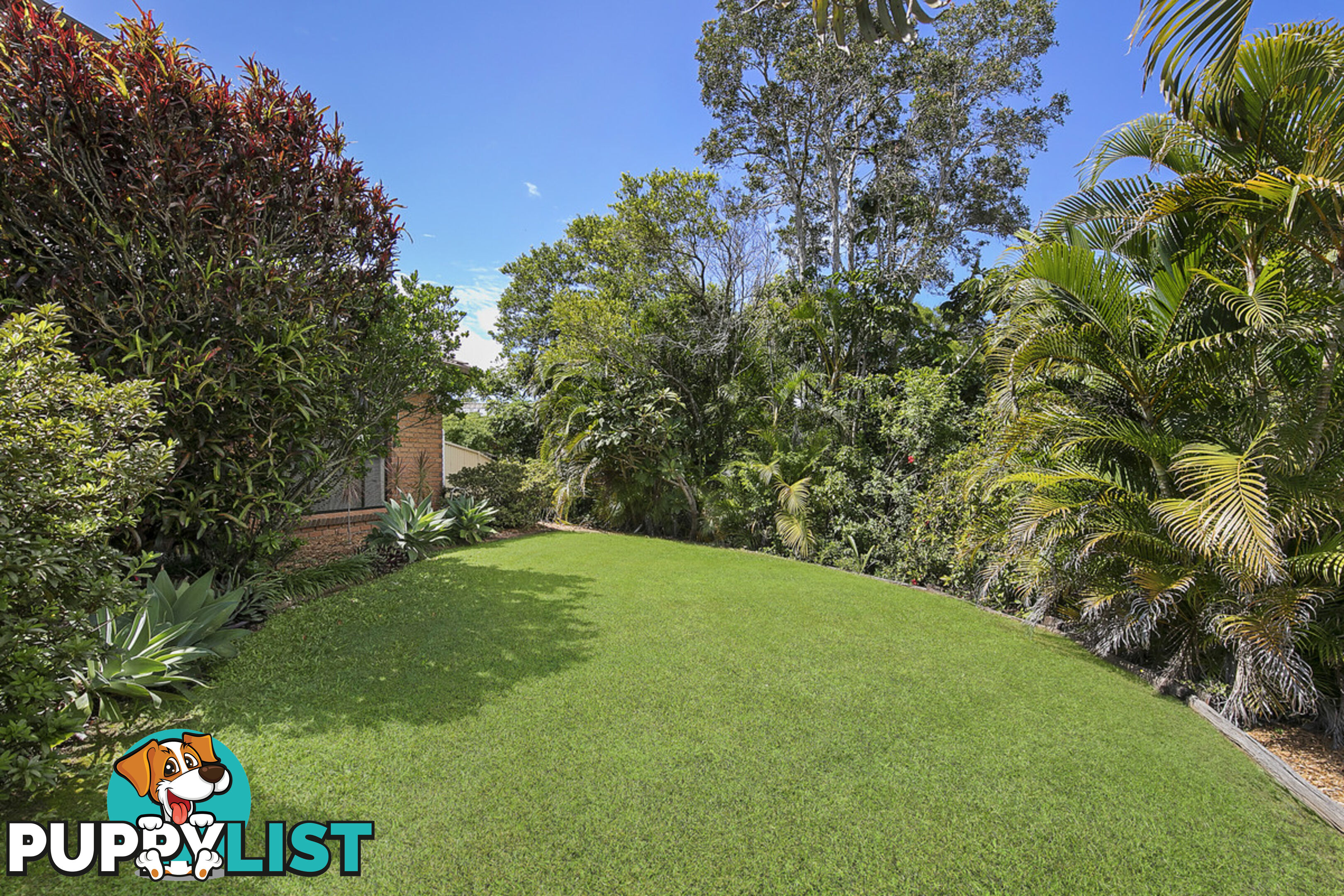 37 Buenavista Avenue THORNLANDS QLD 4164