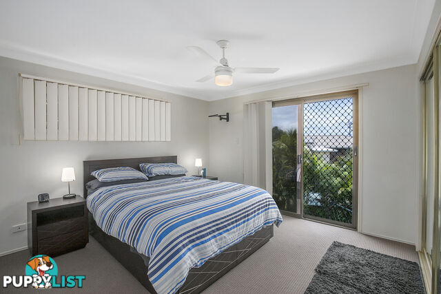 37 Buenavista Avenue THORNLANDS QLD 4164