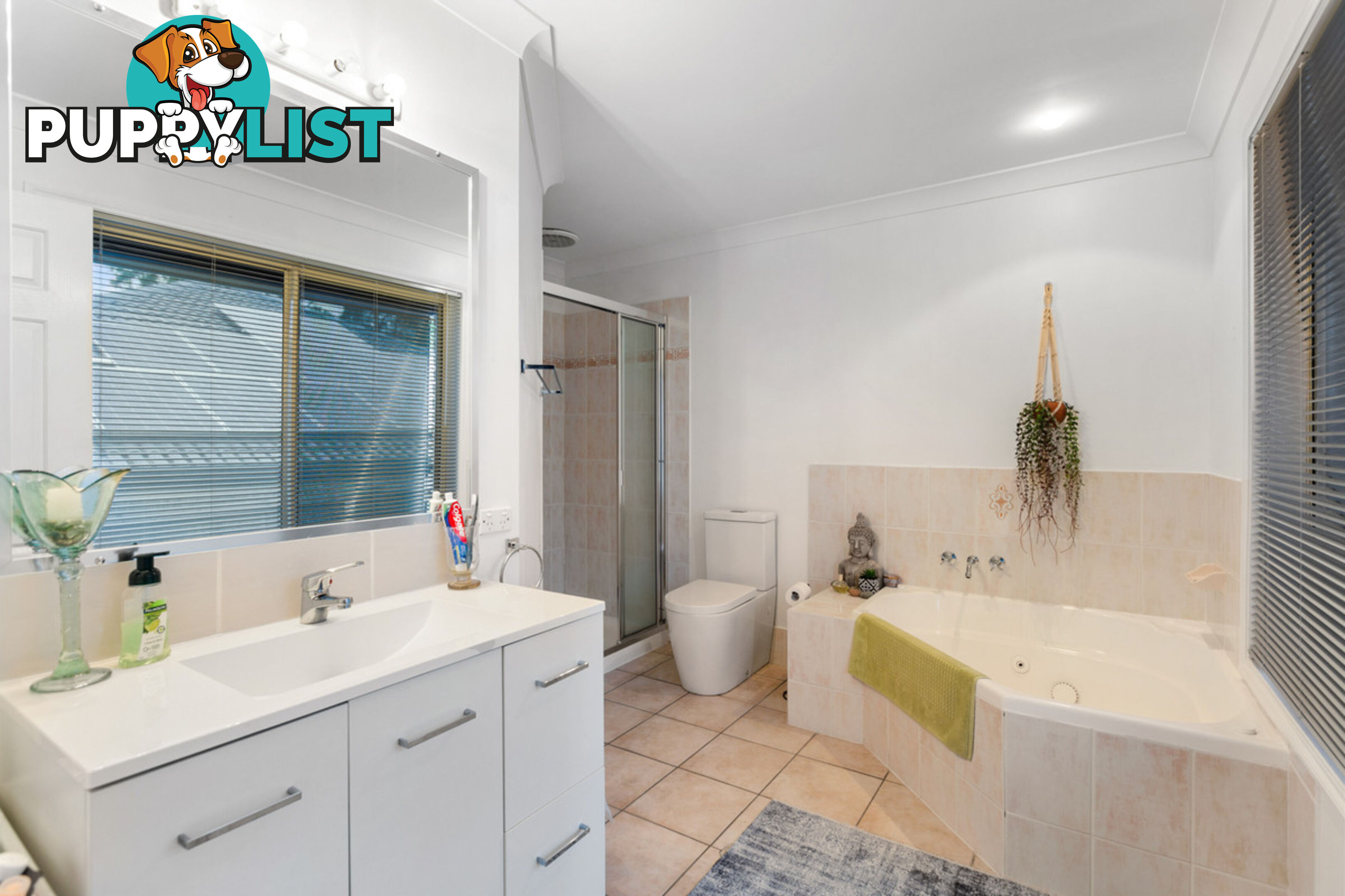 46 Orchid Drive MOUNT COTTON QLD 4165