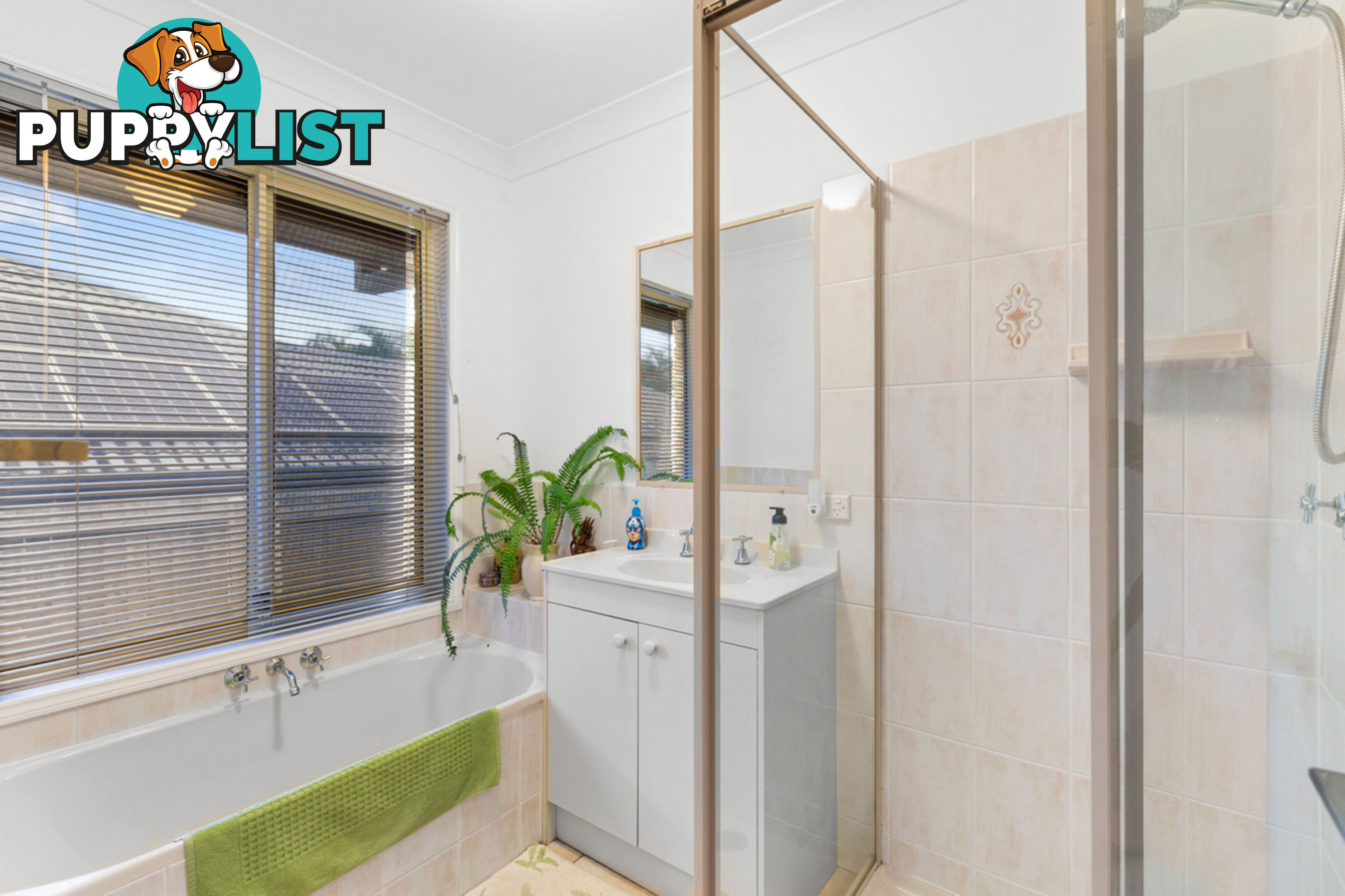 46 Orchid Drive MOUNT COTTON QLD 4165