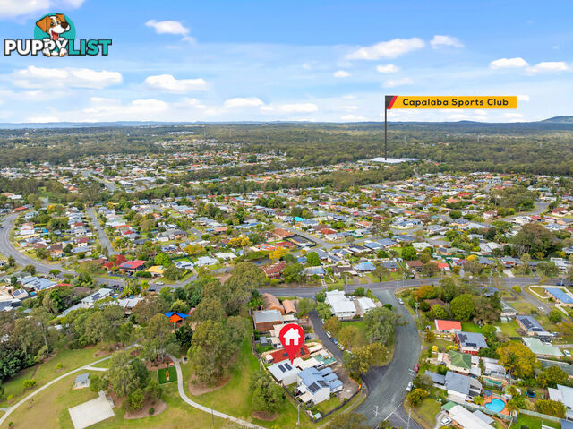 11 Wills Lane CAPALABA QLD 4157