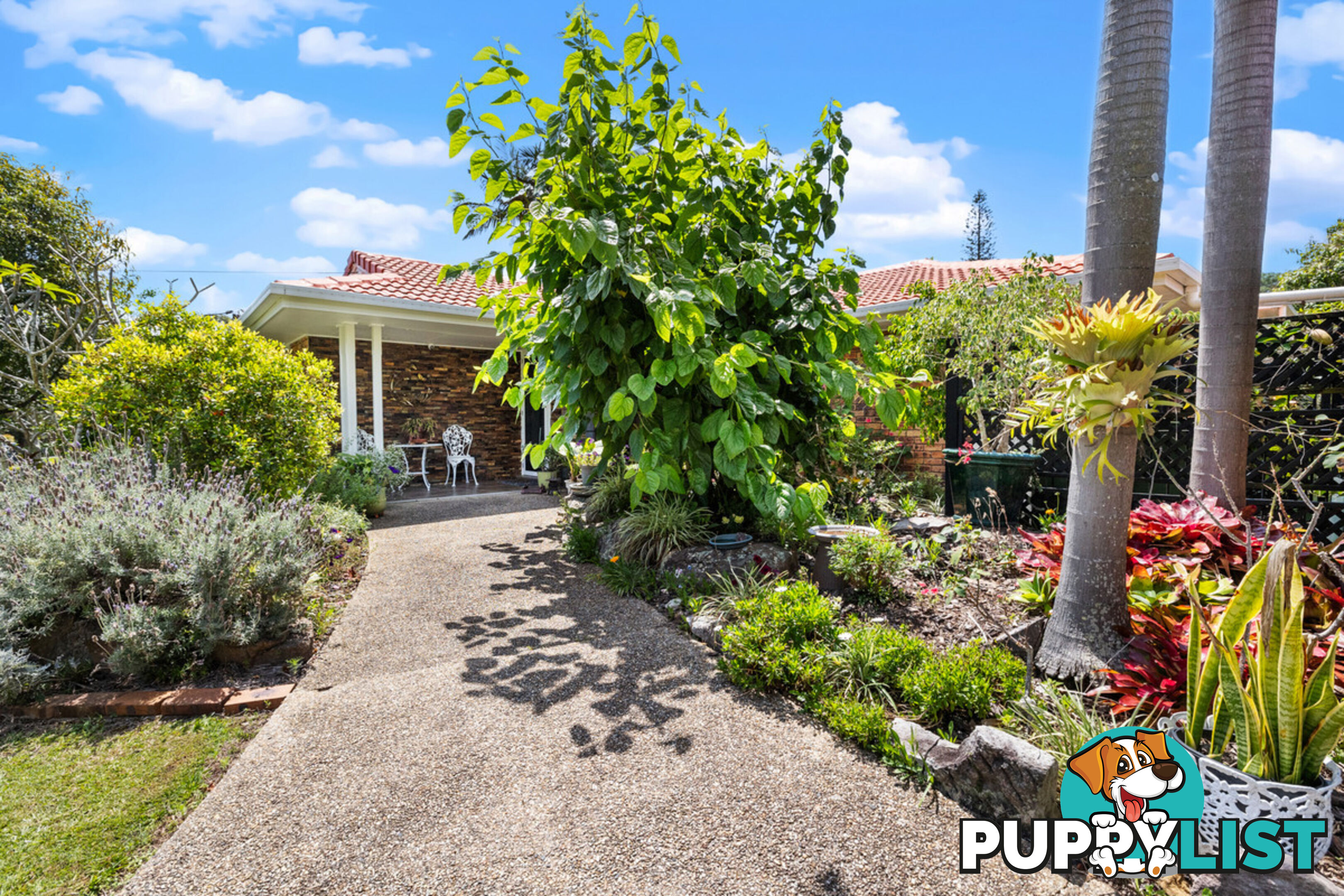 18 Alexandra Circuit ALEXANDRA HILLS QLD 4161