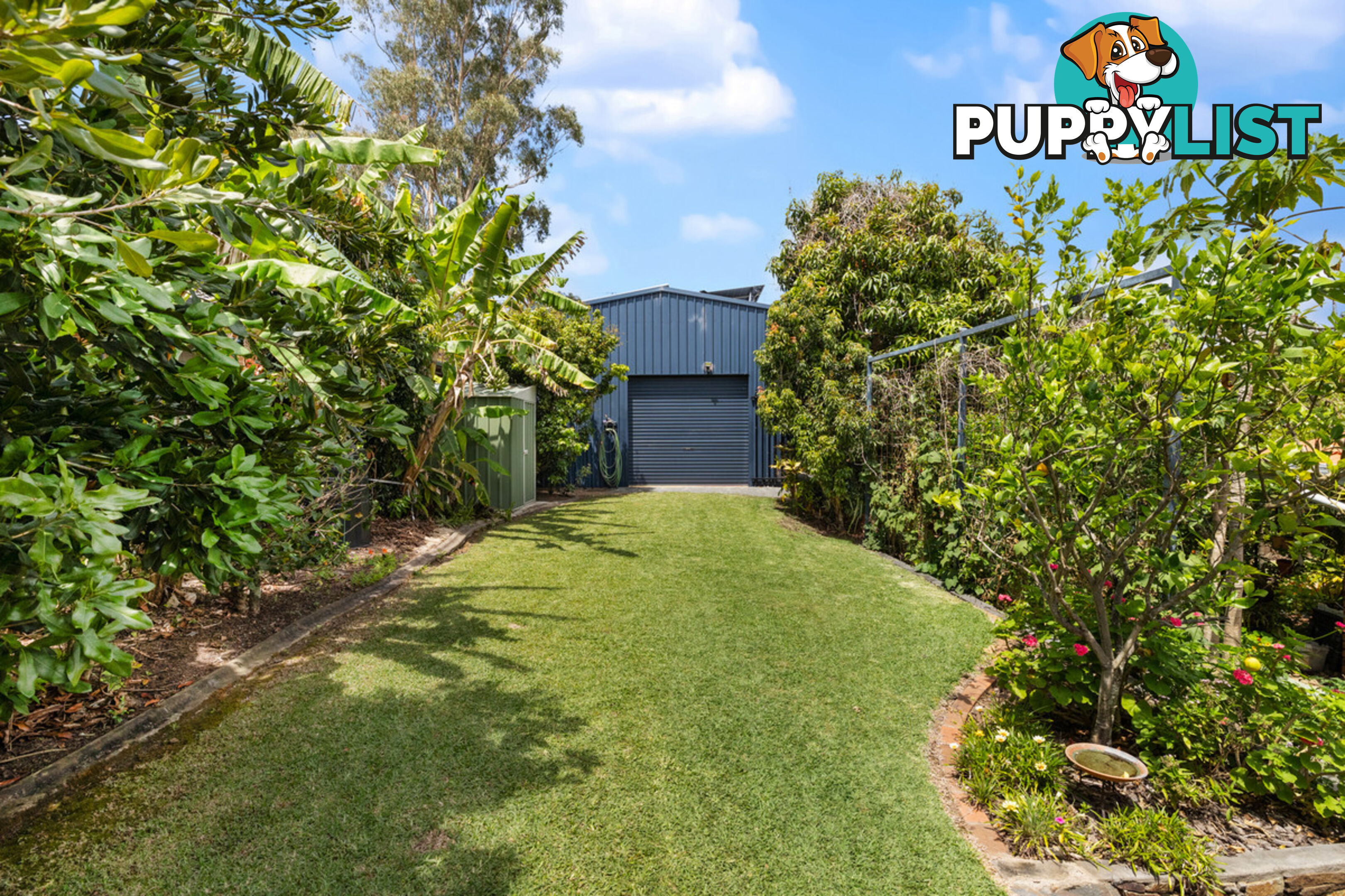 18 Alexandra Circuit ALEXANDRA HILLS QLD 4161