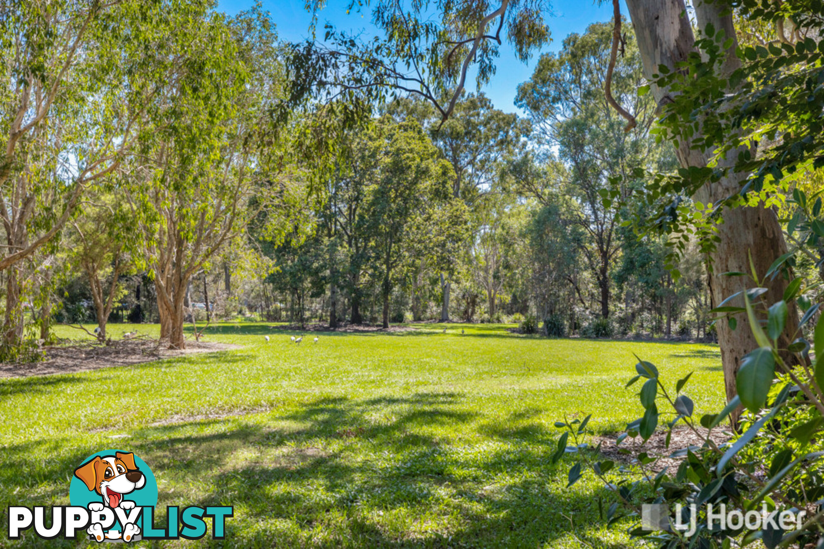 11 - 13 Yarrow Court CLEVELAND QLD 4163