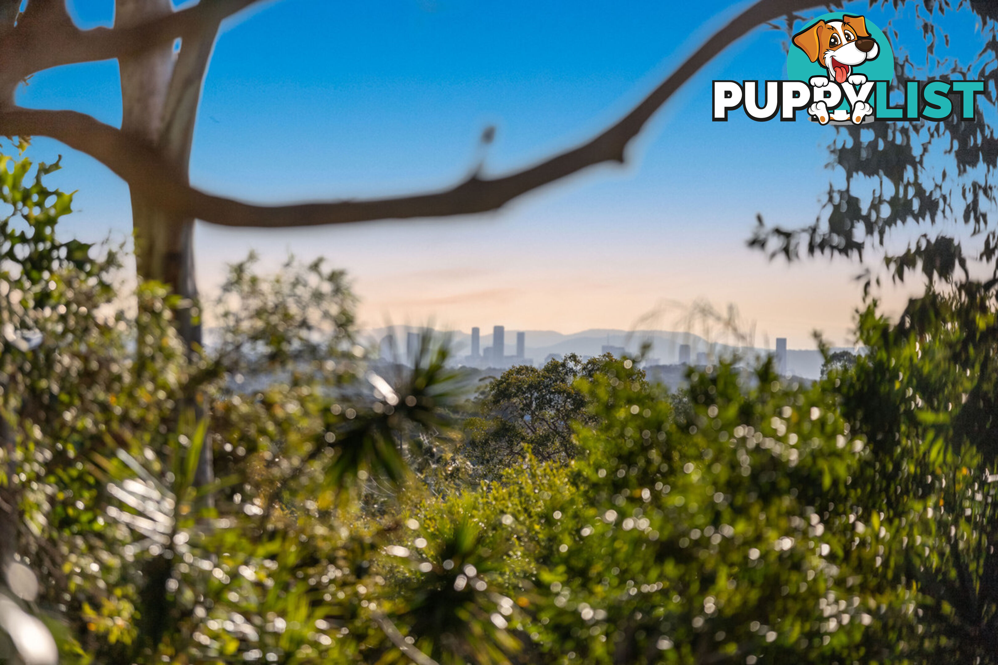 4 Maxted Court ALEXANDRA HILLS QLD 4161