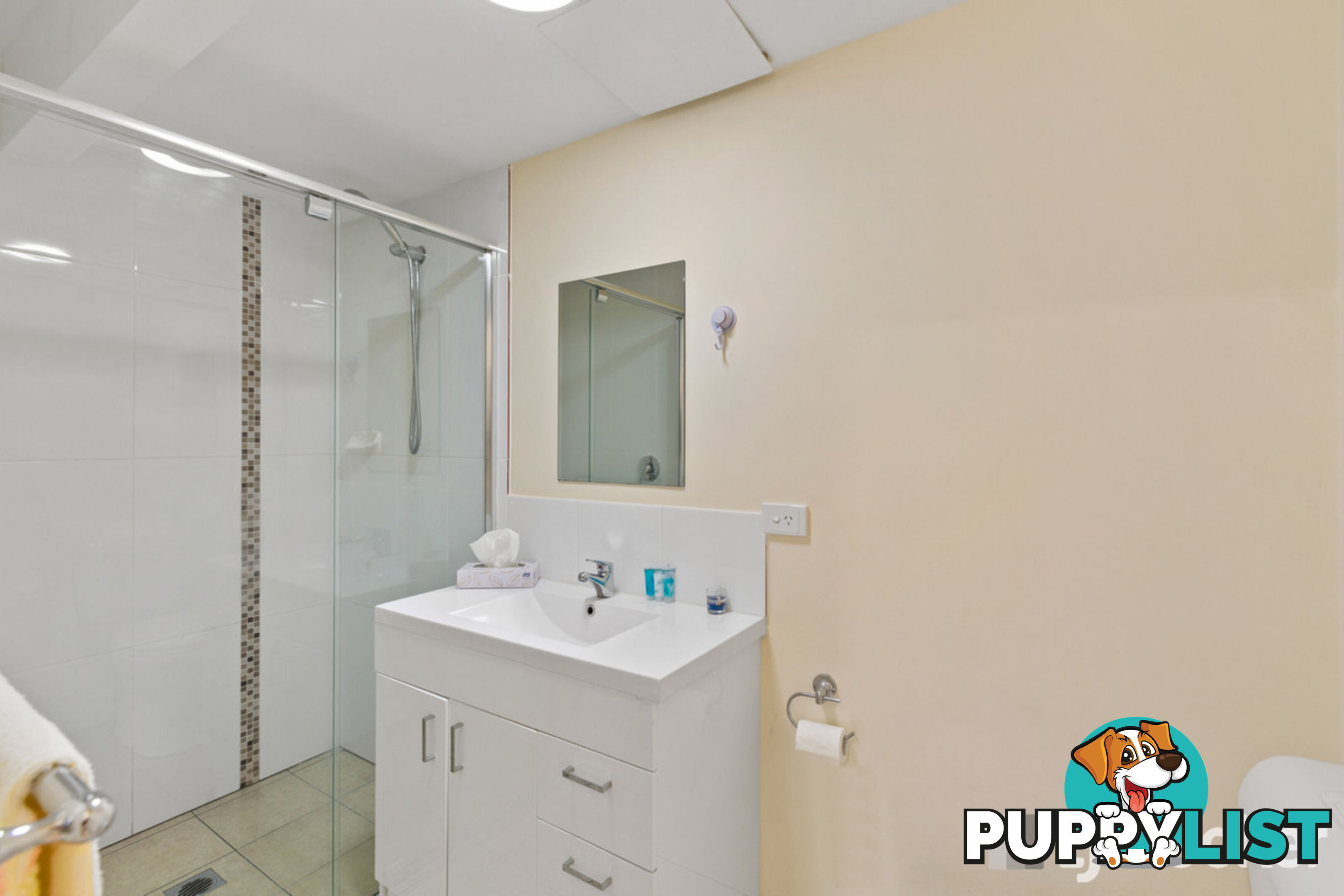 9 Commodore Court CLEVELAND QLD 4163