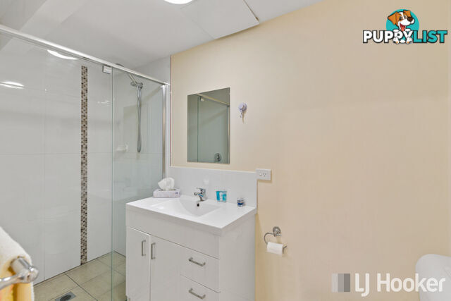9 Commodore Court CLEVELAND QLD 4163