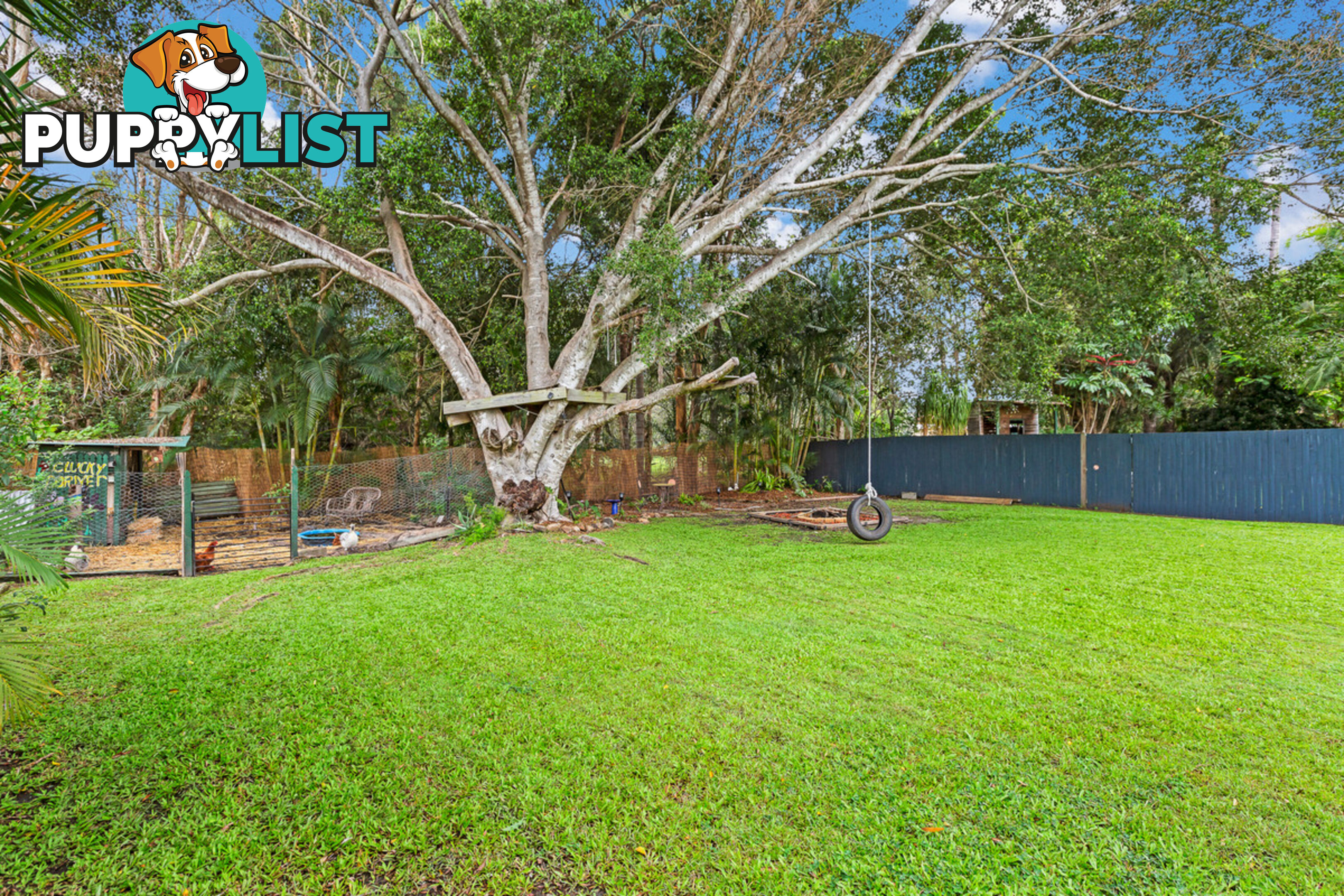 56 Lawn Terrace CAPALABA QLD 4157