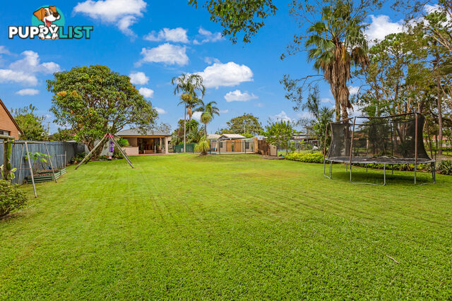 56 Lawn Terrace CAPALABA QLD 4157