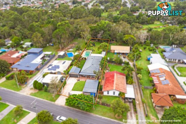 56 Lawn Terrace CAPALABA QLD 4157