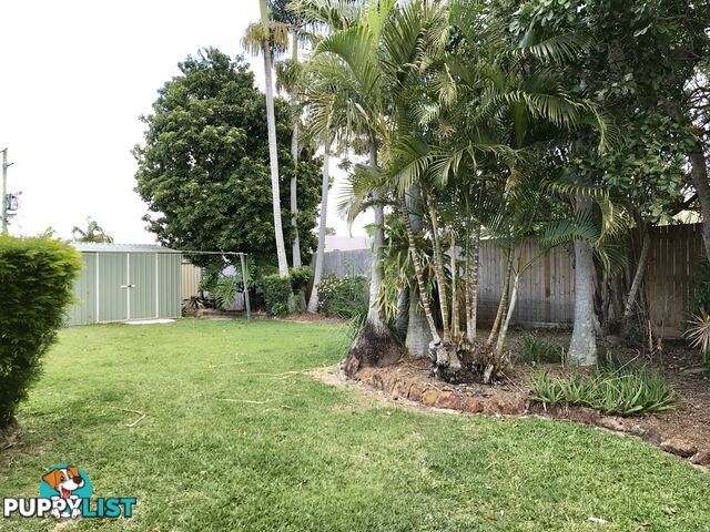 4 Harding Crescent CLEVELAND QLD 4163