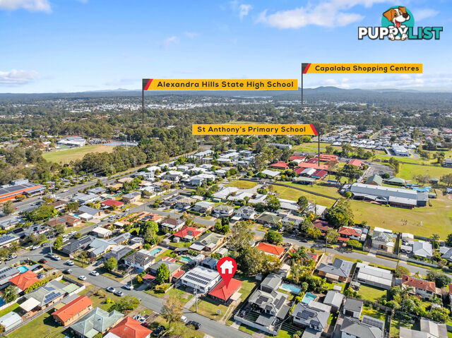 14 Proclamation Street ALEXANDRA HILLS QLD 4161