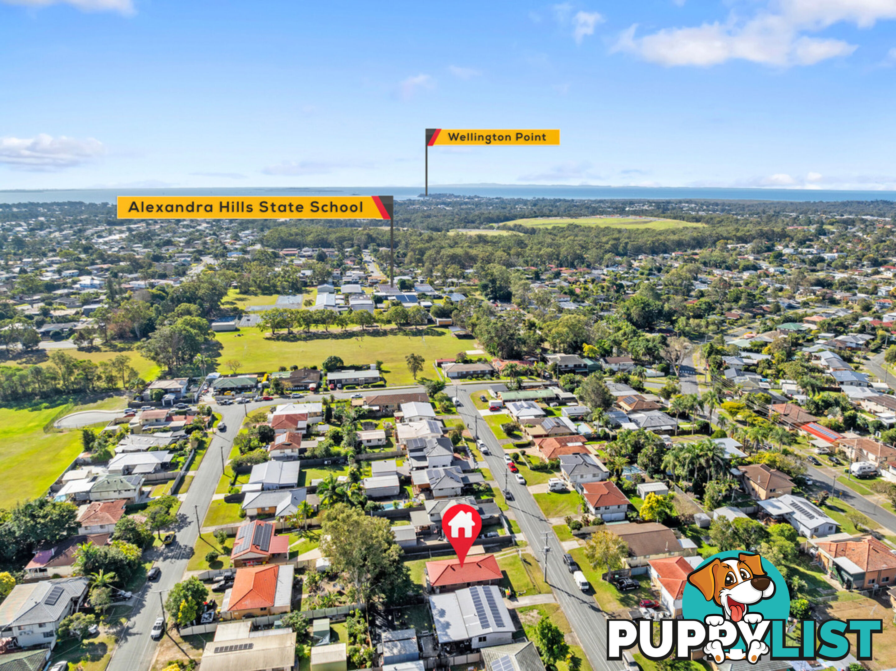 14 Proclamation Street ALEXANDRA HILLS QLD 4161