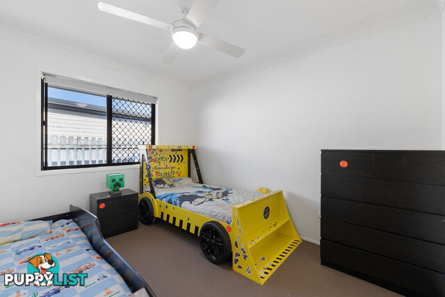 14 Proclamation Street ALEXANDRA HILLS QLD 4161