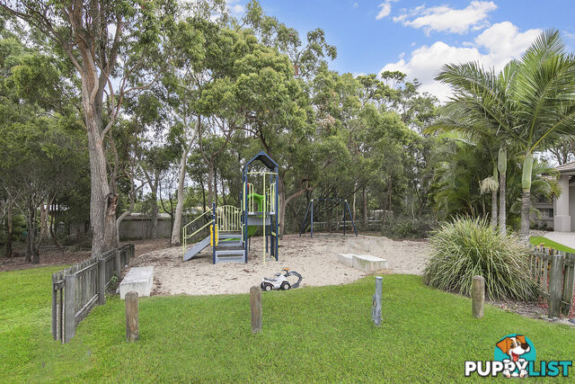 16 Ludmilla Place ALEXANDRA HILLS QLD 4161