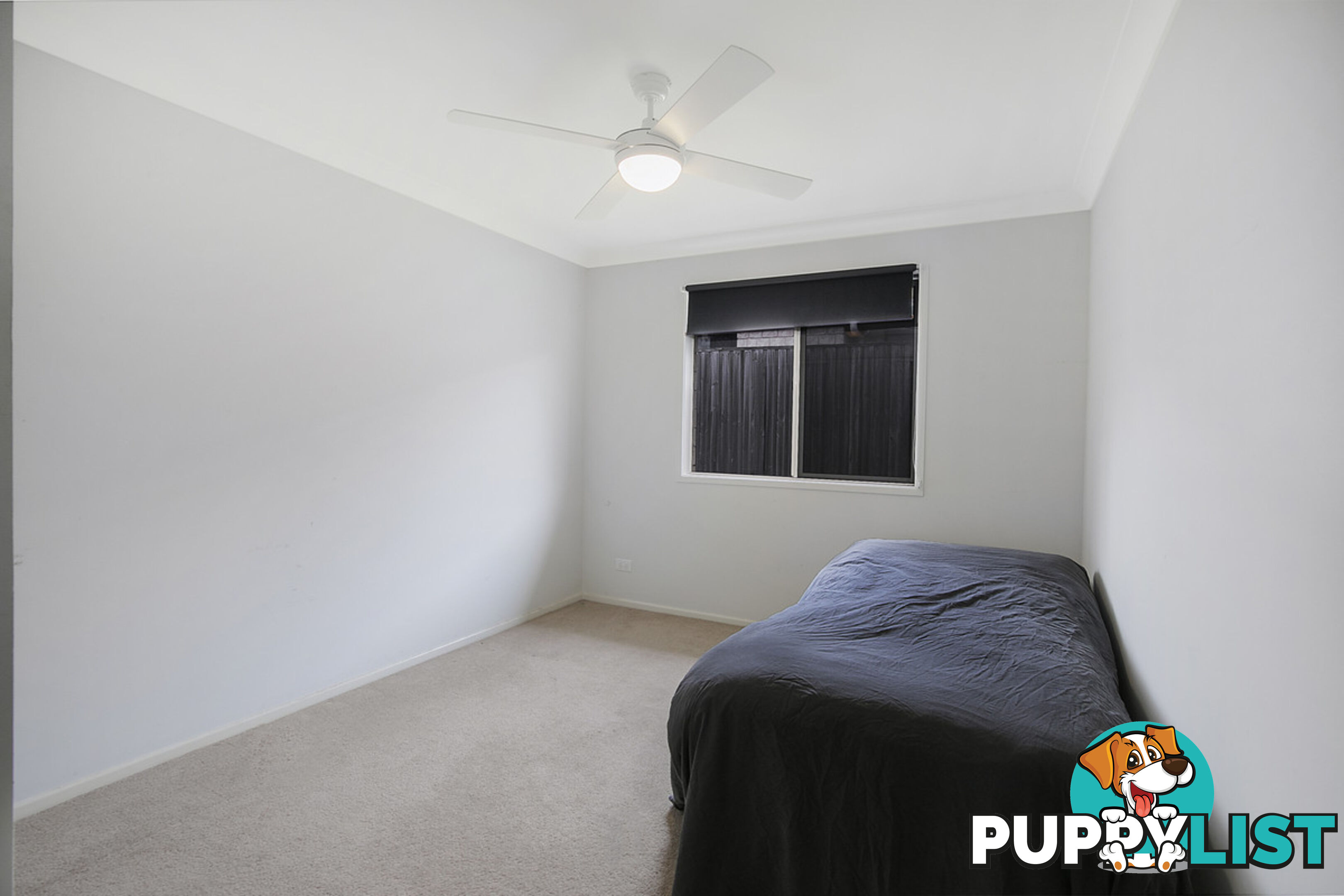 16 Ludmilla Place ALEXANDRA HILLS QLD 4161