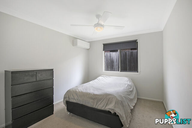 16 Ludmilla Place ALEXANDRA HILLS QLD 4161