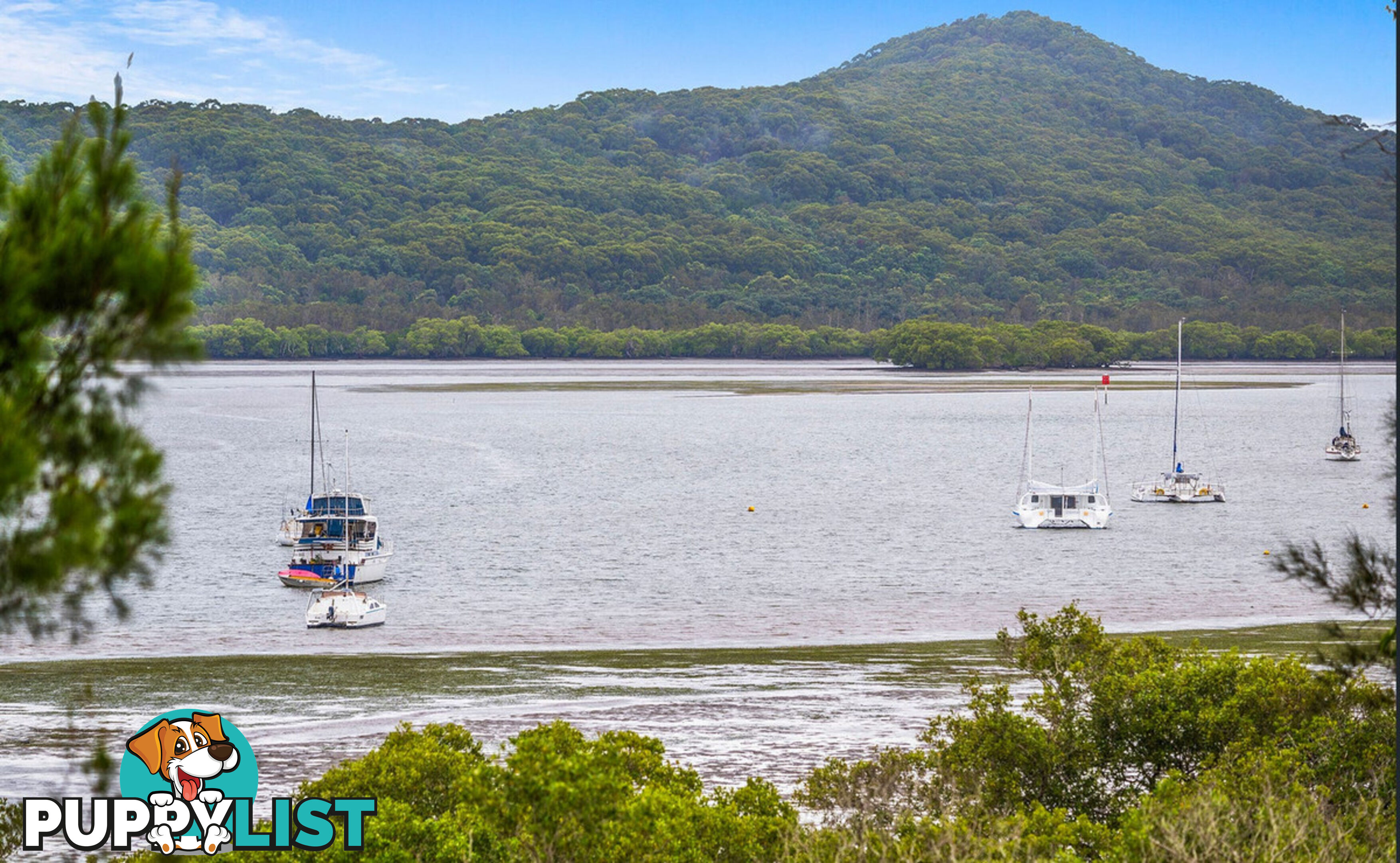 6 Inlet Avenue RUSSELL ISLAND QLD 4184